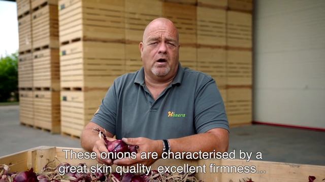 Storage red onions general смотреть онлайн