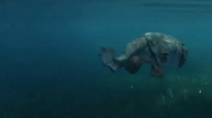 Амбулоцет ( Прогулки с чудовищами )