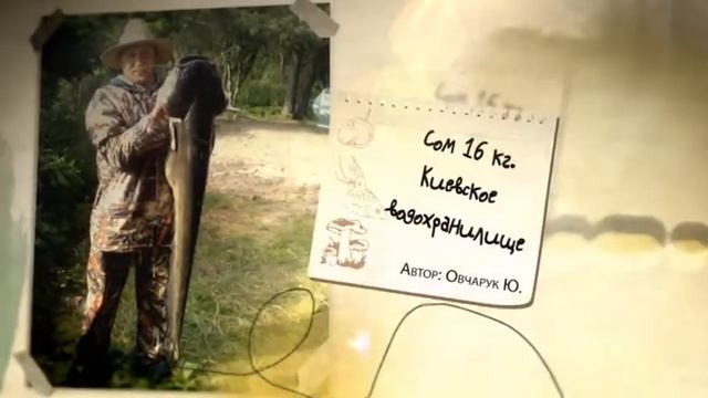 Фотоальбом - Рыбалка №21 смотреть онлайн