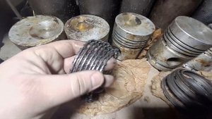 поршневая д50 ссср новая. 6 поршней пятикольцевых! 5 гильз, комплект совдеповских колец