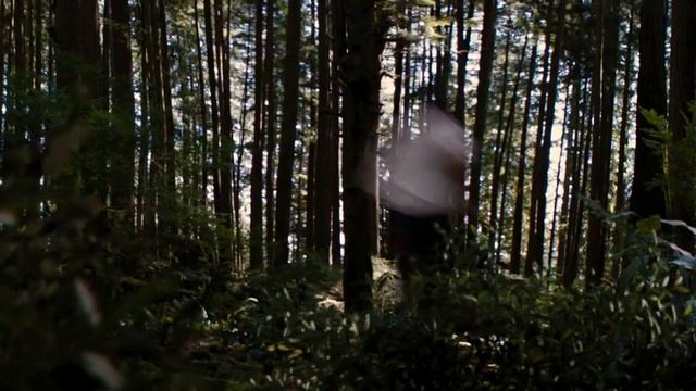 Twilight Breaking Dawn Part 2 - A World Bright and Buzzing Soundtrack