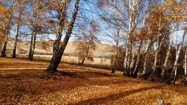 Золотая осень смотреть онлайн