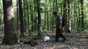 Белые Грибы 2020 . Сбор грибов Июль Винницкая область [новий формат]