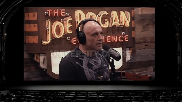 The WILD life Of Hunter S. Thompson | Joe Rogan & Gad Saad смотреть онлайн