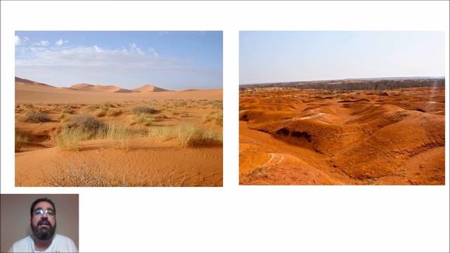 Ecologia: SUCESSÃO ECOLÓGICA смотреть онлайн