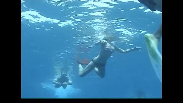 Egypt marsa alam abu dabbab смотреть онлайн