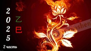 Прогноз бацзы 2025 часть 2