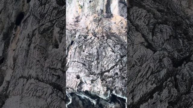 Тайланд Пхукет 2023 остров обезьян