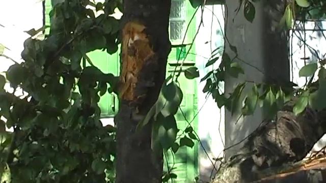 опасные дороги смотреть онлайн