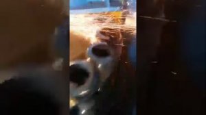 Шлифовка торцов пружин