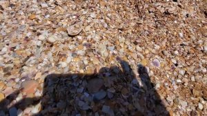 Что увидели в Феодосии на Золотом пляже, остановка Причал