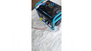 Бензиновый генератор Turbosky BG-4500