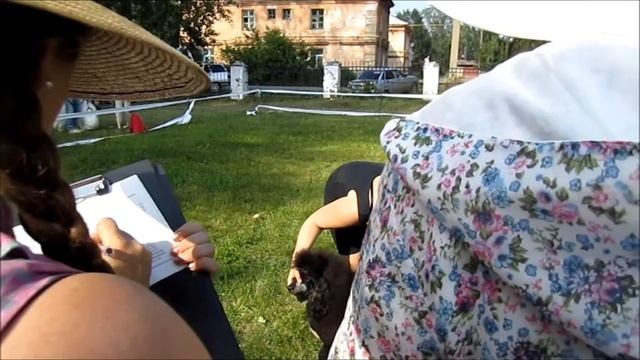 Петя2 смотреть онлайн