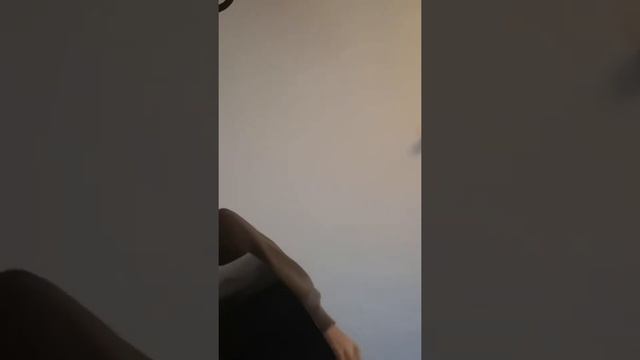 Trufas mágicas 2020 смотреть онлайн