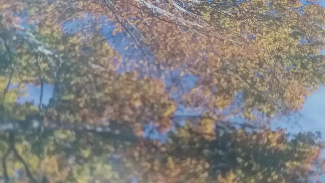 SADA ĆETE SAZNATI GDE VAS OČEKUJU PROMENE OD JANUARA 2024. PLUTON U VODOLIJI OD 23. MARTA DO 11.JUN смотреть онлайн