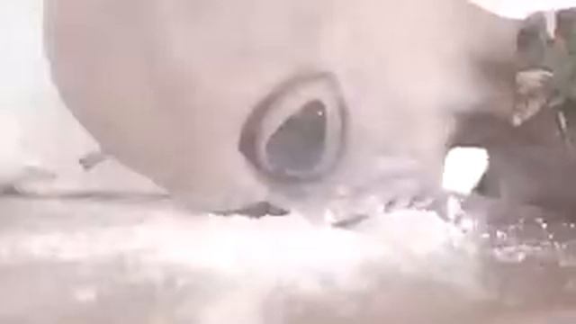 ДАТФИЛ // ПСИХОДЕЛ | 18+ смотреть онлайн