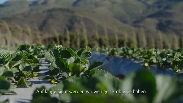 Tom Wlaschiha cambio climático - métodos de cultivo innovadores en Bolivia смотреть онлайн