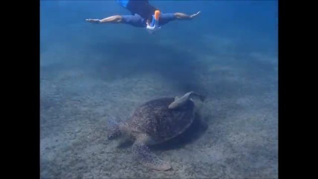 Egypt - Marsa Alam - Shams Alam Beach Resort