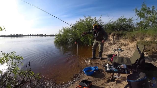 #рыбалка #фидер #лещ Лещ на Фидер Весной🐟🐟🐟 Май 2024🇺🇦🤘 смотреть онлайн