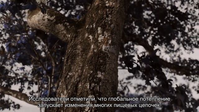 Ученые предрекли планете катастрофический эффект домино