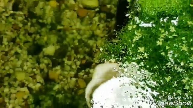 Рига-Водный Мир.. Царство Нептуна.. смотреть онлайн