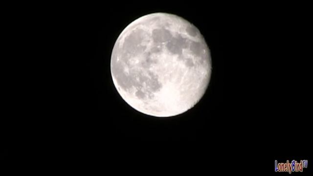 The Moon On July 23 2013 смотреть онлайн