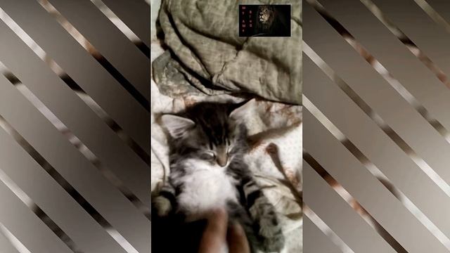 КУЗЬМА И ПУЛЬТ смотреть онлайн