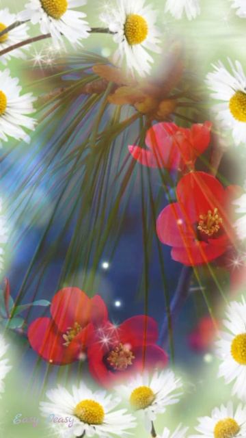 🌞20 , 21марта — День весеннего равноденствия🌞 Красивая музыкальная открытка смотреть онлайн