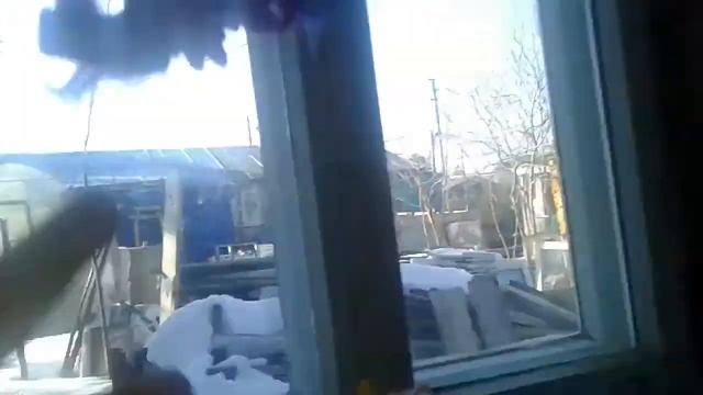 Шок нло существует пони смотреть онлайн