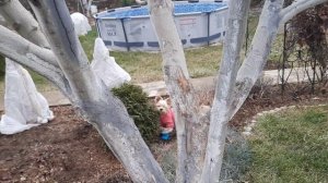 Боня первый раз в 25 году приехала на дачу...