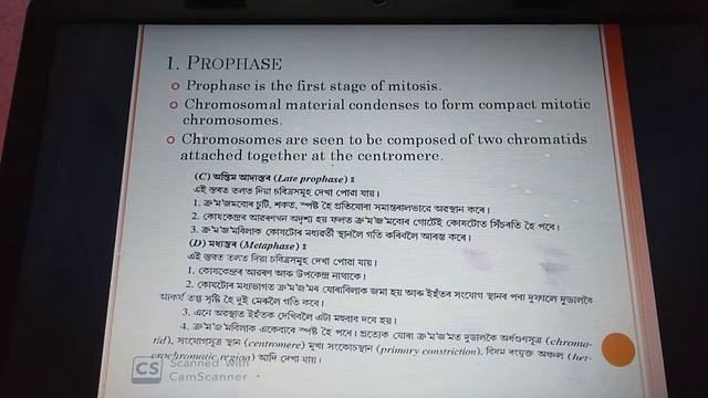 cell cycle смотреть онлайн