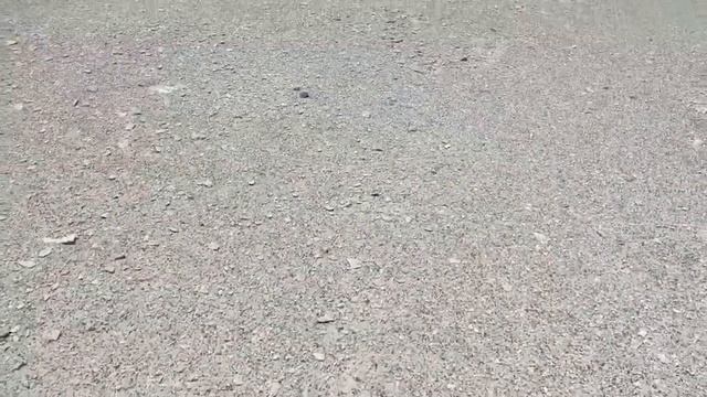 Фильм с участием реутовчанина вошёл в программу кинофестиваля «Форма жизни» 08.09.2023 смотреть онлайн