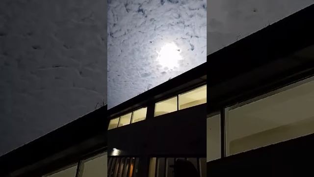 Затмение солнца 08.04.2024 Solar eclipse 08.04.2024 смотреть онлайн