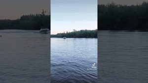 Crownline 275 с мощным 425 сильным V8 двигателем  объёмом 8.1L Mercruiser 496 mag ho