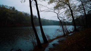 Прогулки под грозу, дождь и звуки природы для сна и учебы