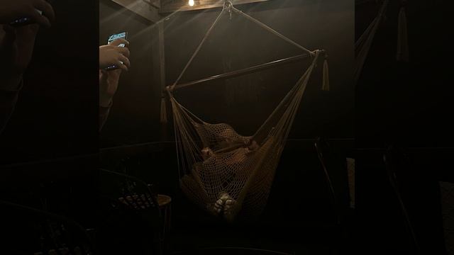 Saturn Over West Virginia смотреть онлайн