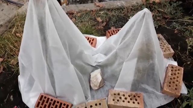 Архивное видео (конец октября и 20 ноября 2020года) смотреть онлайн