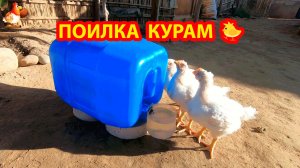 Поилка курам из большой канистры на подставке 🐓💦❣️