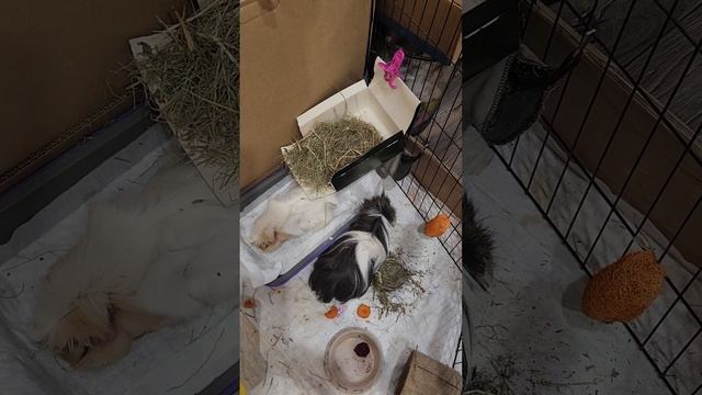 Все коробочки 📦 в дело!