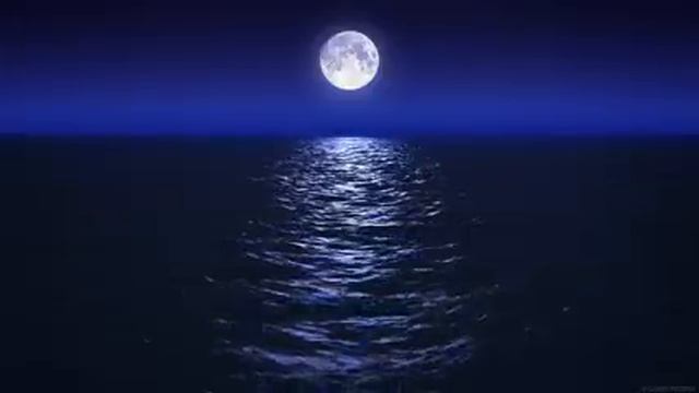 Sleep Music With Ocean and Jungle Sounds – Relaxing Blue Screen Scene – Ocean and Full Moon смотреть онлайн