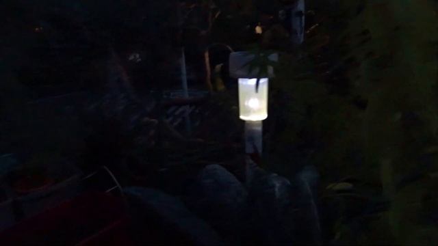 Fun 99 Cent Store BEST Solar Lights Big Bulbs Review Outdoor Garden Ideas Test Repair Tips Plastic