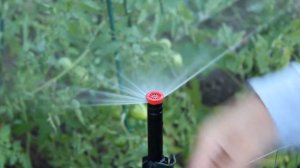 How to Adjust a Fixed Radius Spray Head (Hunter PSU-04)