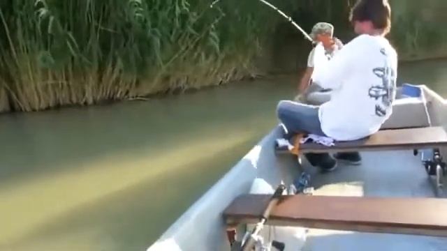 Гигантский сом смотреть онлайн