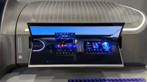 Гибкие экраны в китайских авто