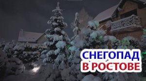 Снегопад в Ростове 4 февраля 2025 года