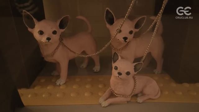 Обзор лайнера Celebrity Silhouette 5  где пройдет Золотая Конференция 2017