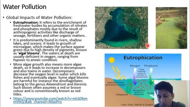 Water Pollution смотреть онлайн