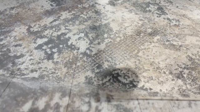 Коллекция SIESTA смотреть онлайн