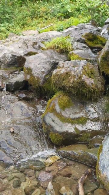 Водопад Поликаря #СвароговВидео #Водопад #Путешествия #Сочи #Горы #nature #Mountains #КраснаяПоляна