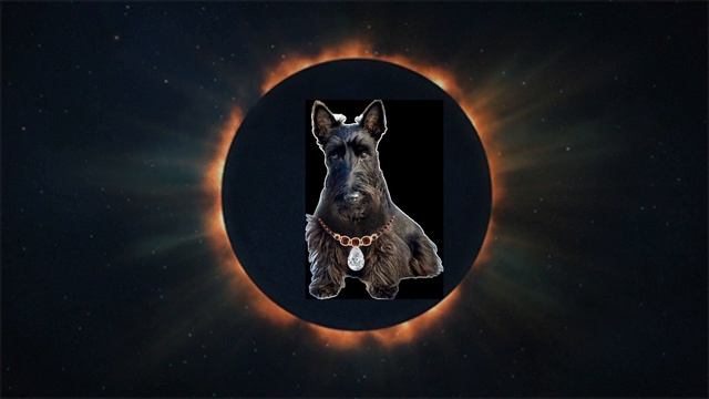TOTAL ECLIPSE /ПОЛНОЕ ЗАТМЕНИЕ/ смотреть онлайн